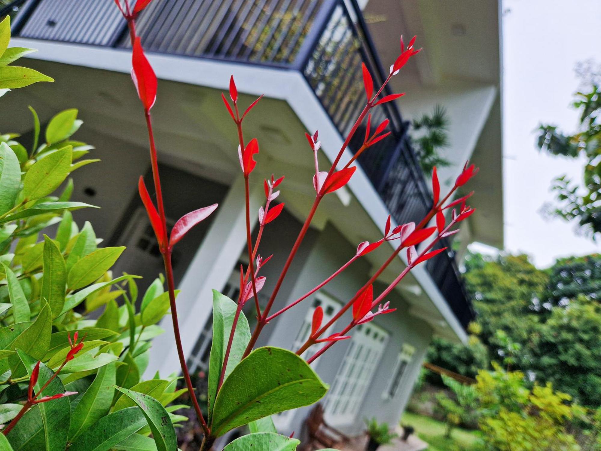 Villa Sole Kandy Kültér fotó