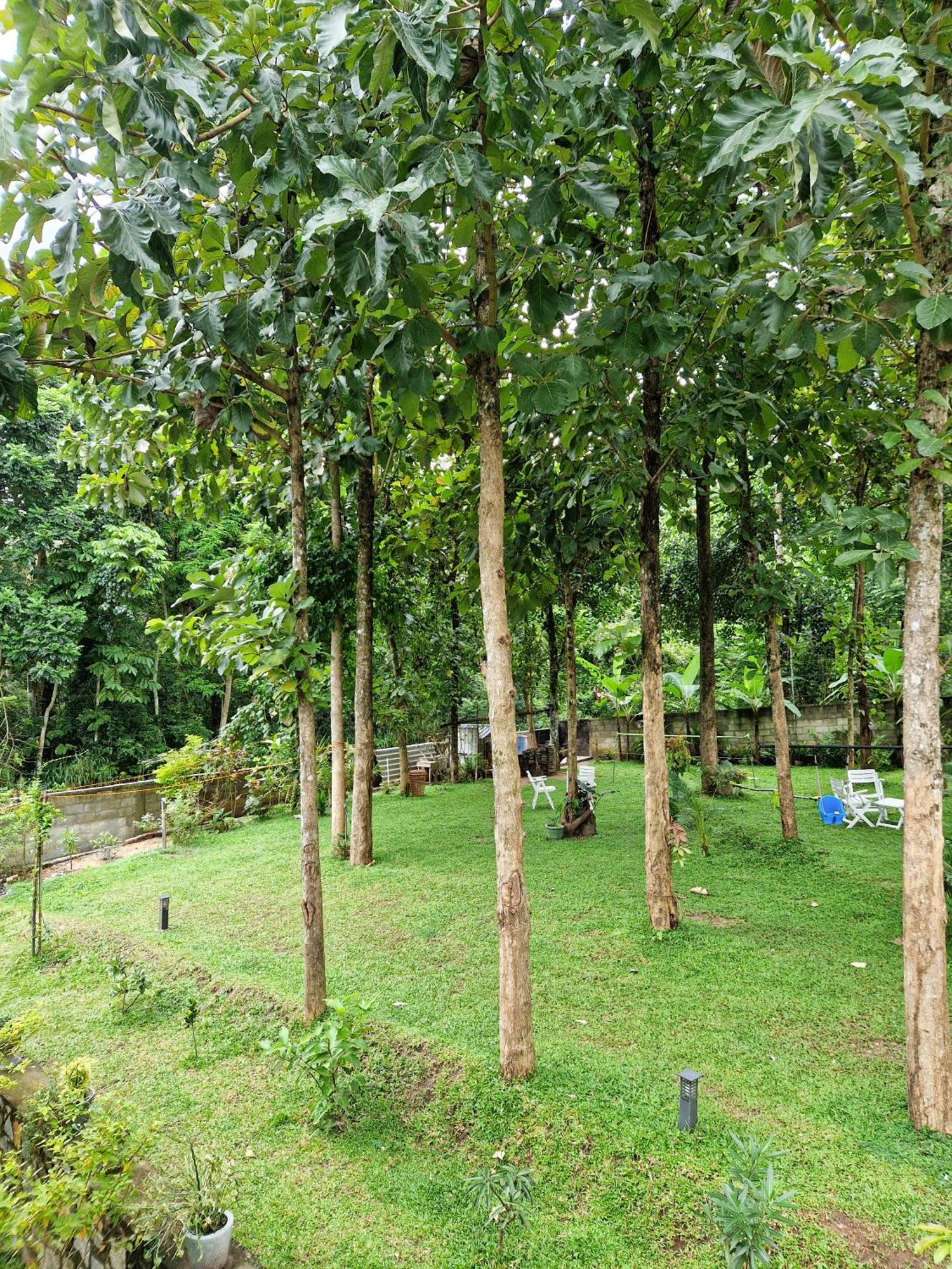 Villa Sole Kandy Kültér fotó