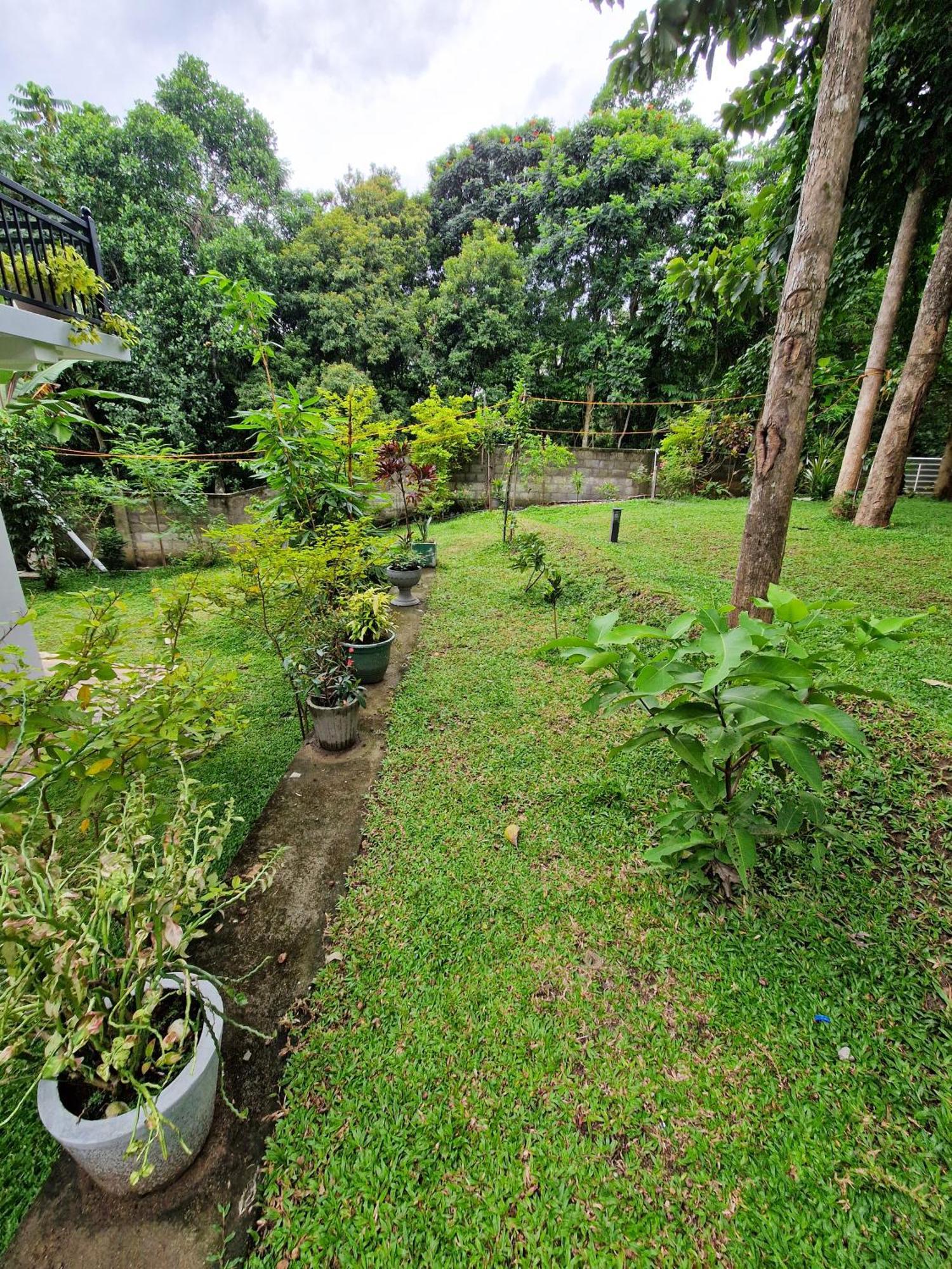 Villa Sole Kandy Kültér fotó