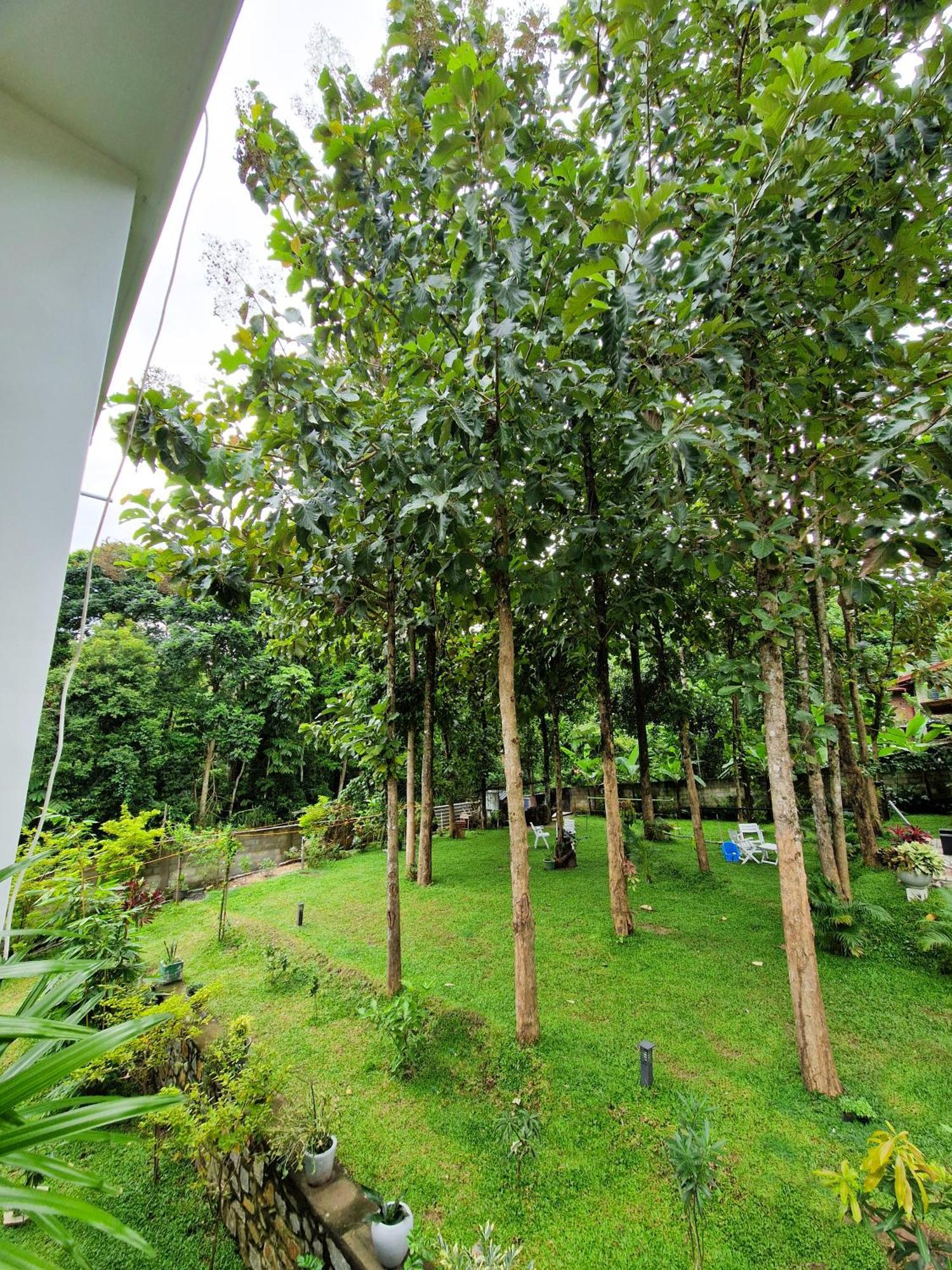 Villa Sole Kandy Kültér fotó